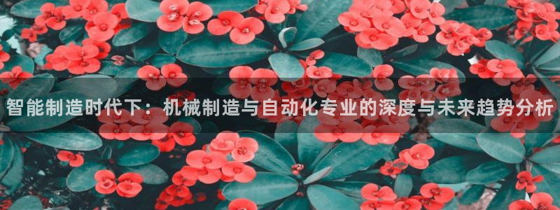 摩根娱乐宝代理