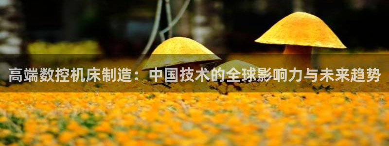 摩根国际娱乐宝