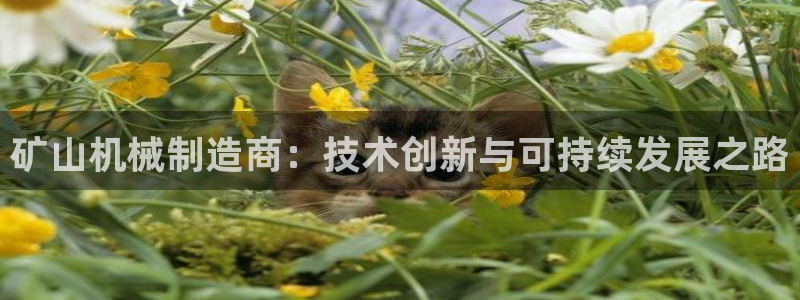 摩根娱乐宝微交易