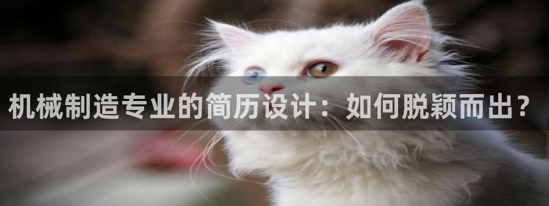 摩根娱乐宝代理