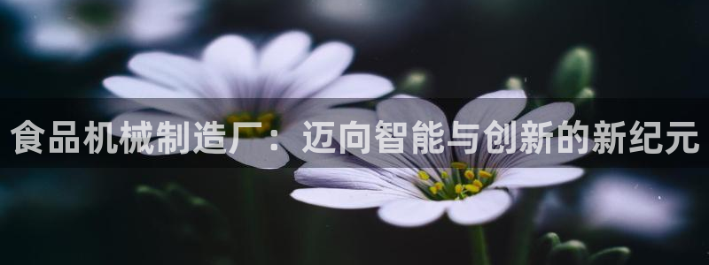 泉州摩根会娱乐保安公司