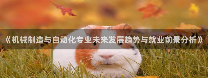 白宫摩根会娱乐会所