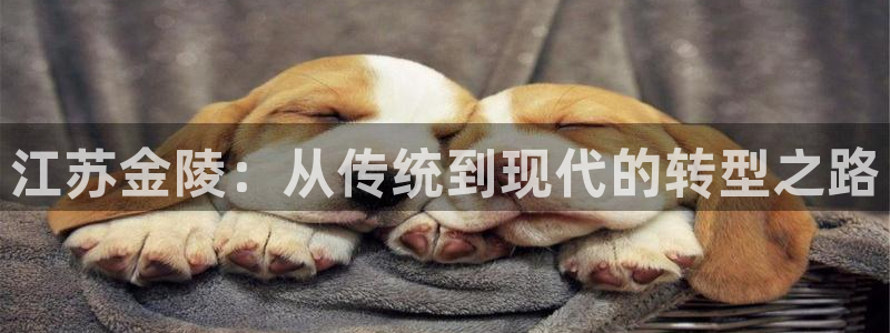 摩根娱乐挂机项目怎么样