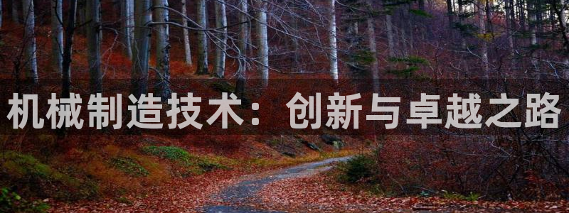 摩根士丹利凯撒娱乐