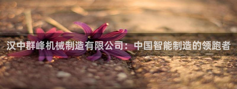 白宫摩根娱乐
