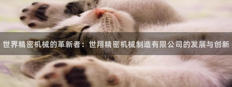 摩根娱乐50186选择