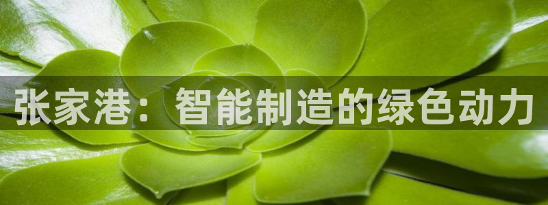 摩根合约娱乐宝