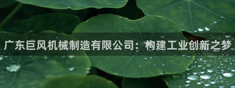 摩根国际娱乐宝书籍