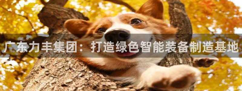 泉州摩根会娱乐邮箱