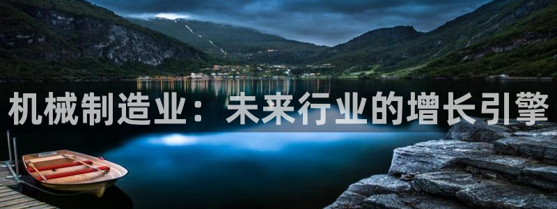 摩根国际亚太娱乐宝