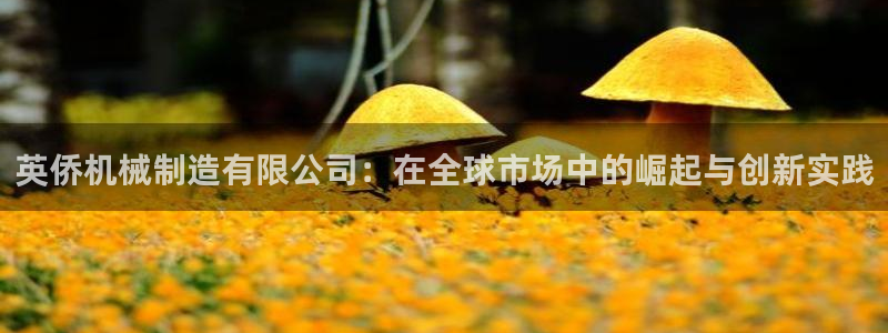 摩根娱乐宝收益怎么样