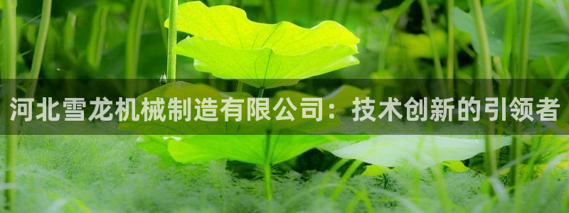 摩根娱乐宝微信客服