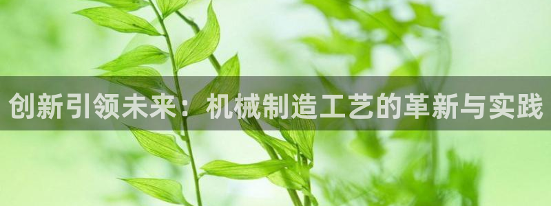 摩根娱乐官网下载