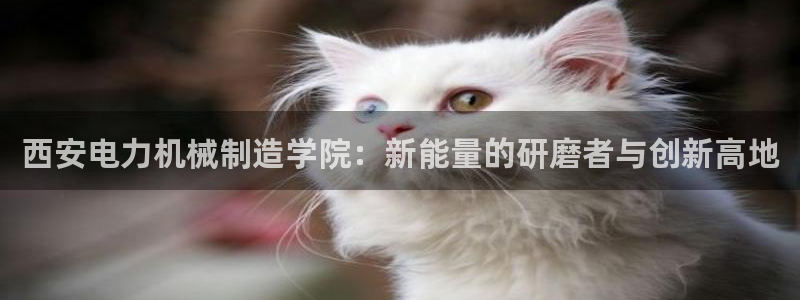 南阳市摩根娱乐