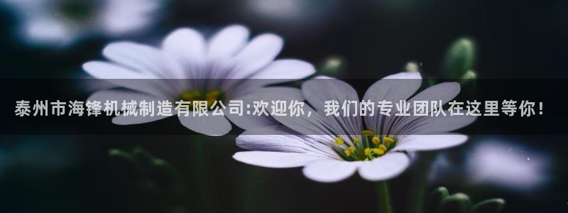 摩根娱乐视频大全