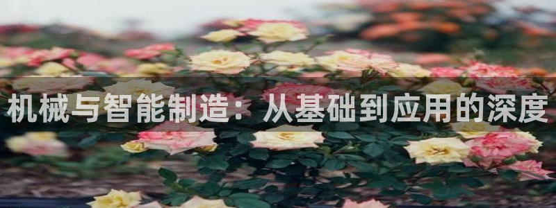 济宁摩根国际娱乐