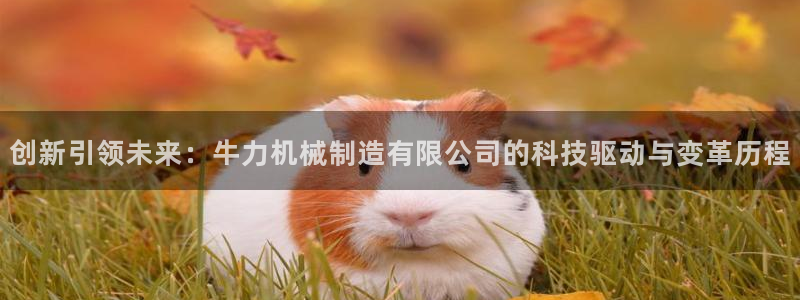 摩根会娱乐会所