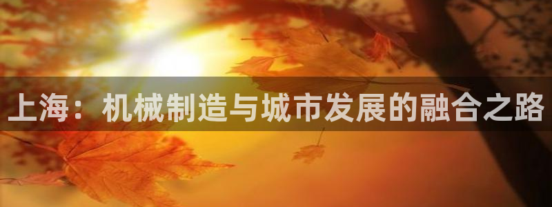 摩根娱乐50186叩