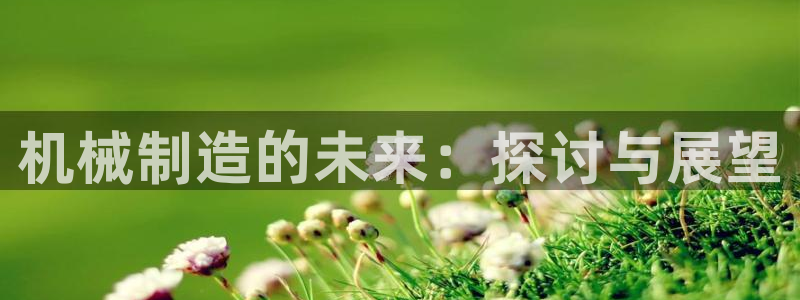 摩根娱乐 总s管50015