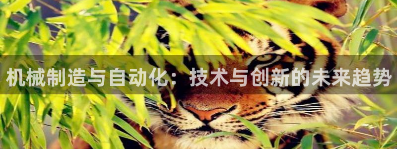 摩根娱乐宝使用操作