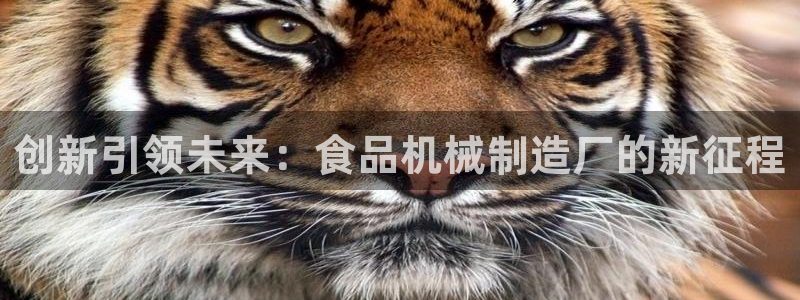 摩根大通旗下娱乐公司