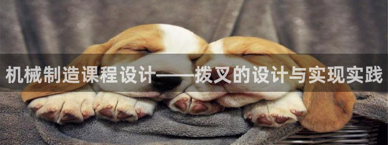 华视娱乐 摩根 王琛