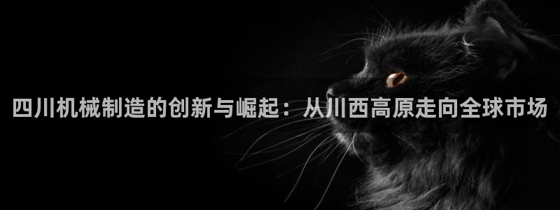 摩根360休闲娱乐