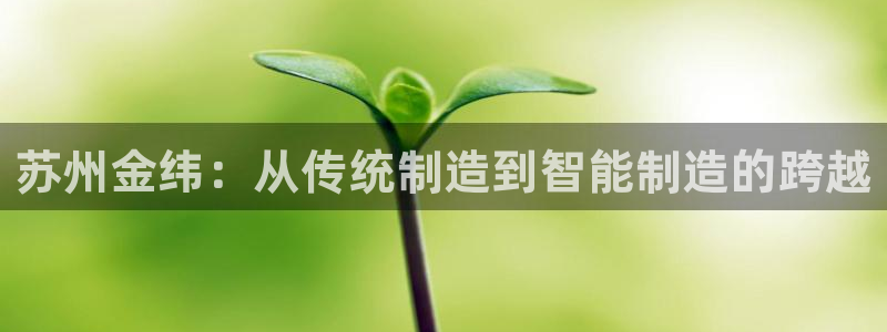 摩根娱乐宝是骗局吗