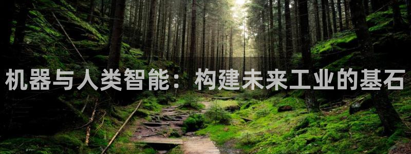 摩根国际亚太娱乐宝