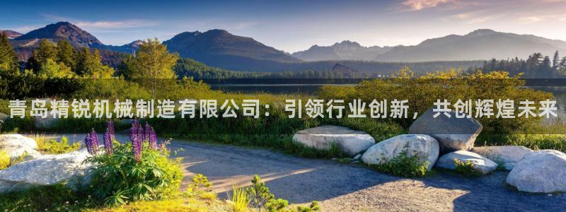 摩根大通王者娱乐