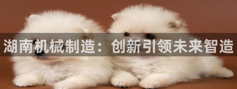 摩根太古互动娱乐中心