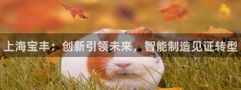 义乌摩根娱乐会所消费