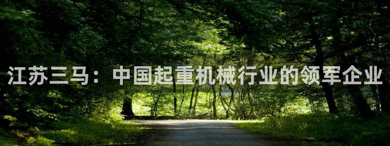 摩根娱乐挂机项目