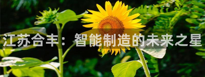 摩根娱乐50186夂