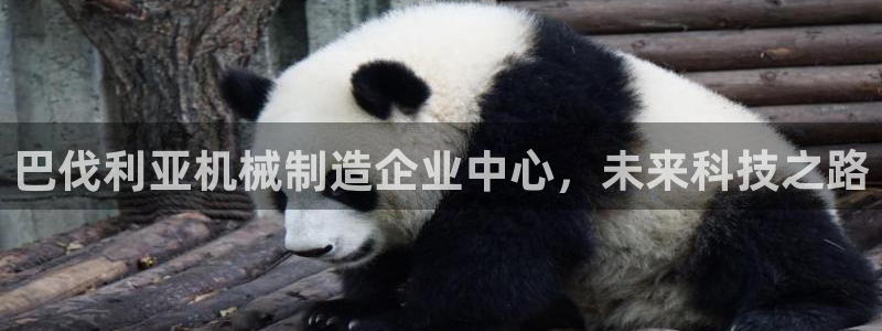 摩根娱乐宝怎么提现