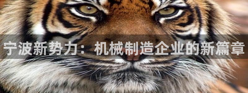 摩根娱乐宝是什么