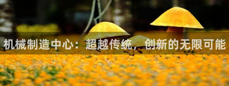 摩根娱乐宝怎么下载