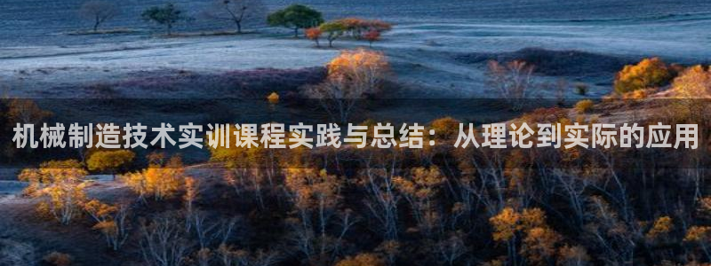 摩根国际 亚太 娱乐宝