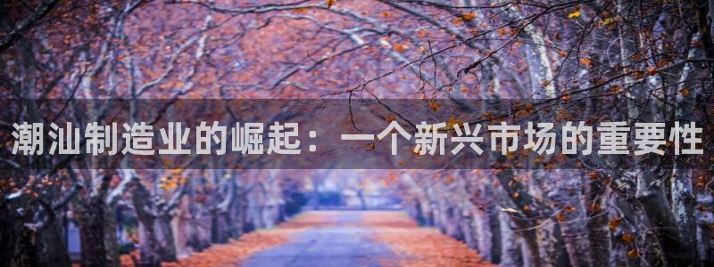 摩根娱乐信益怎么样