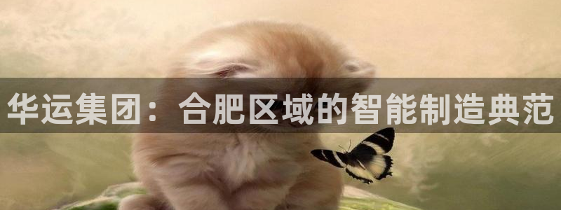 摩根娱乐宝怎么下载