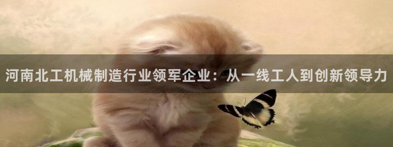 摩根娱乐老lb板50820