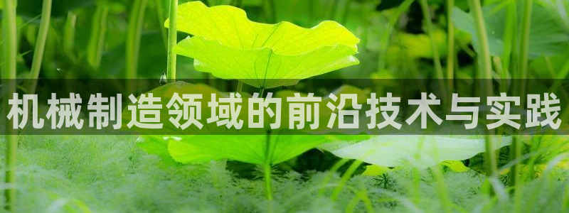 泉州摩根会娱乐邮箱