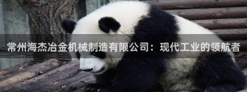 摩根娱乐宝k线图