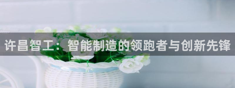 摩根会娱乐会所