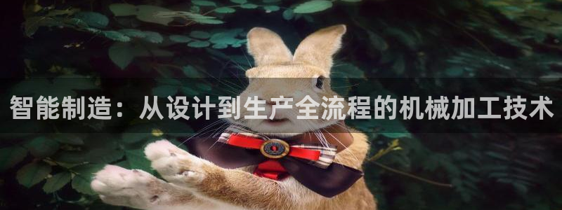 华视娱乐 摩根 王琛