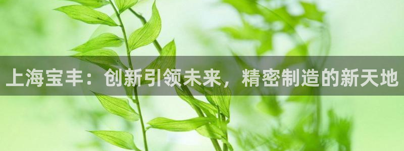 摩根娱乐开户 总s管50015