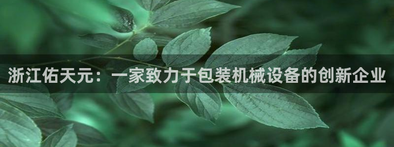 摩根大通旗下娱乐公司