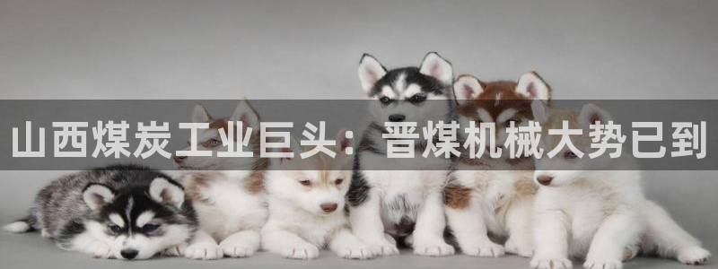 摩根娱乐宝杀单吗