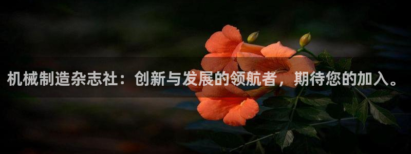 摩根娱乐50186夂