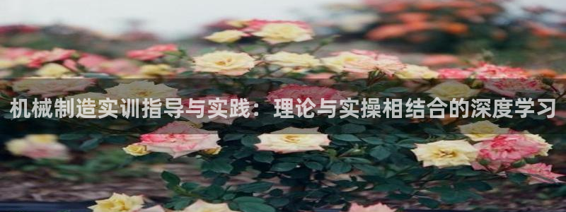 摩根国际 亚太 娱乐宝